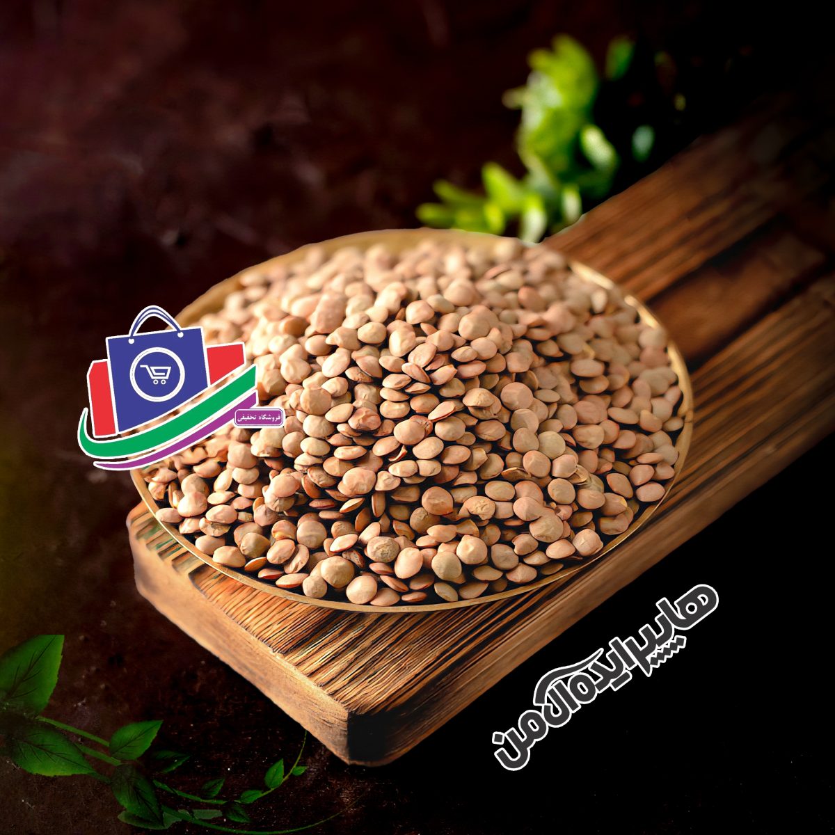 عدس